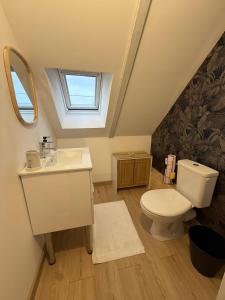 a bathroom with a toilet and a sink and a window at Ty Kermaudez in Paimpol +27 photos