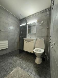 a bathroom with a toilet and a sink at bnbnord Outokumpu - Studio in Outokumpu