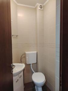 a small bathroom with a toilet and a sink at Simple Stay in Buljarica +9 photos
