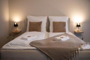 a white bed with two pillows and two lamps at Zentrale Altstadtwohnung mit privatem Saunabereich in Bielefeld