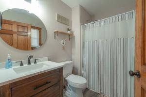a bathroom with a toilet and a sink and a mirror at Sunset Cabin Privacy, Views, HotTub, Firepit, BBQ, Pets in Rileyville