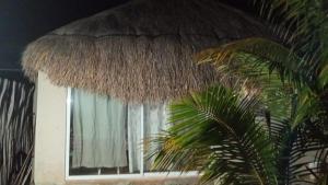 a window with a straw roof next to a palm tree at Cabañas Puertas del Sol in Telchac