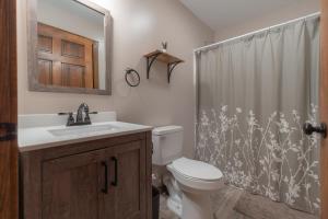 une salle de bain avec toilettes et rideau de douche dans l'établissement Amazing View Hot Tub Firepit BBQ Private Pets, à Rileyville 10 autres photos