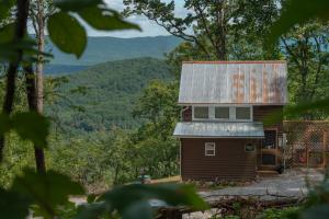 une petite maison avec un toit rouillé dans les bois dans l'établissement Hideaway Tiny Cabin, Hot Tub, View, Firepit, à Rileyville