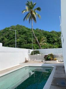 a swimming pool with a palm tree in the background at Casa GALLARDO in Manzanillo