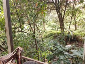 a garden with plants and trees and a fence at Harmony Resto & Homestay in Ngadisari +6 photos