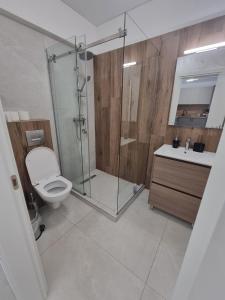 Ένα μπάνιο στο Apartament Stefan
