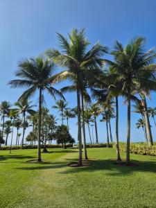 a group of palm trees in a park at Riviera de São Lourenço, pé na grama in Bertioga