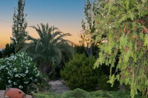 een tuin met bloeiende planten en bomen en een brandkraan bij Casa rural Cavila in Pliego