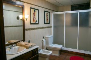 een badkamer met een toilet, een wastafel en een douche bij Casa rural Cavila in Pliego +7 foto's