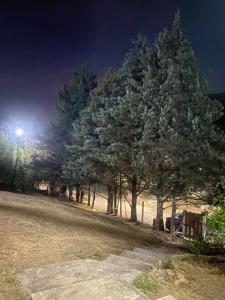 a group of trees in a park at night at La casa de Pedro in San Roque