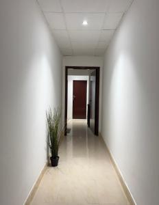 シャルジャにあるLuxury single room in sharjahの鉢植えの空廊 +1枚の写真