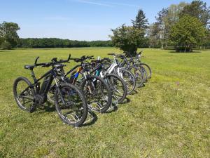 a row of bikes parked in a field at Gite en Forterre in Druyes-les-Belles-Fontaines
