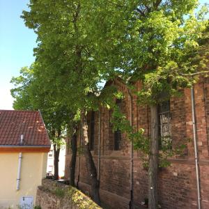 un gruppo di alberi di fronte a un edificio in mattoni di Ferienhaus Zur Mainpforte a Magonza