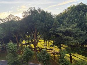 Příroda nedaleko apartmánu