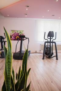 Fitness centrum a/nebo fitness zařízení v ubytování Ramada by Wyndham Bottrop City