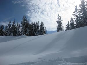 Landhaus Alexa during the winter