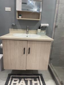 迪斯卡弗里贝Blue coral Villa Jamaica的带水槽和淋浴的浴室