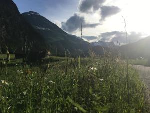Huoneiston lähellä sijaitseva luonnonmaisema
