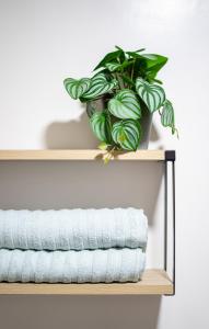 a shelf with a plant and a stack of towels at Cozy & Homey 3-Bedroom in Iloilo City