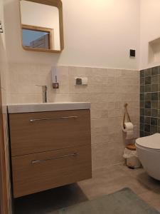 a bathroom with a sink and a toilet and a mirror at Pokoje gościnne Cyraneczka in Lądek-Zdrój +23 photos