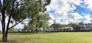 a house in a field with a tree at Bulgon Lodge in Collinsville
