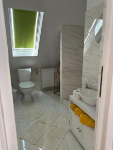 a bathroom with a toilet and a sink at Villa Viktória in Lunca de Sus +28 photos