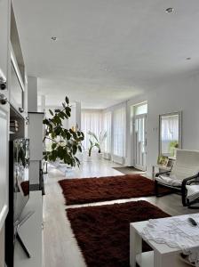 una sala de estar con un sofá y una alfombra en Villa Viktória, en Lunca de Sus