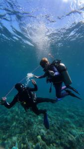 two people in scuba gear swimming in the water at Jepun Hill Studios & Amed Jepun Divers in Amed