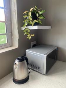 Un microondas, una tostadora y una planta en una encimera. en The Perfect Spot, en Welgelegen
