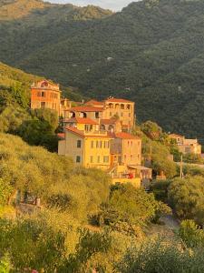 a group of buildings on the side of a hill at La Casa Del Cacao in Lecchiore