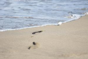 Gallery image of Inn Between Waves in Shimoda