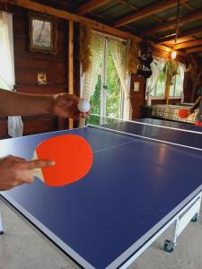 Lauatennis majutusasutuses Sunny Side Fruska Gora või selle läheduses