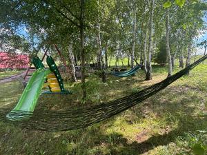a hammock in a park with trees at Brzozowy Zagajnik in Inwałd