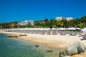 Gallery image of Xenios Theoxenia Hotel in Ouranoupoli
