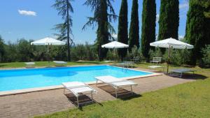 a swimming pool with lounge chairs and umbrellas at Borgo Melograno in Chiusi
