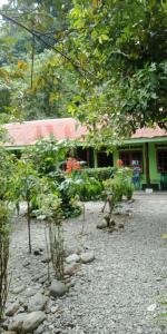 Κήπος έξω από το Jungle house and treking