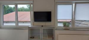 einen Flachbild-TV in einem Zimmer mit Fenstern in der Unterkunft Ferienwohnung in Großostheim + 5 Fotos