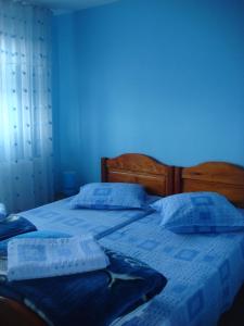1 dormitorio azul con 2 camas y paredes azules en Pensiunea Vital, en Chilia Veche
