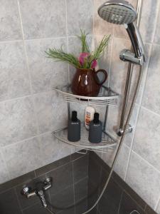 a bathroom with two shelves in a shower with a vase at V House Cozy & Quiet Escape in Mytilene +21 photos
