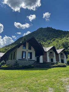 莫伊塞Cabana La Poarta Codrului的以山为背景的房子