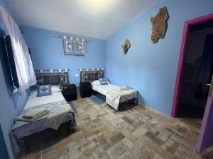 een kamer met 2 bedden en blauwe muren bij B&B Daillu in Olbia +48 foto's