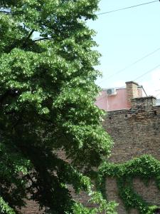 Galeriebild der Unterkunft Enjoy Belgrade in Belgrad