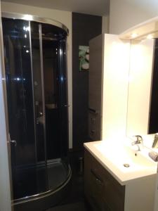 un baño con ducha y lavabo en Mon Petit Canada, en Mittlach