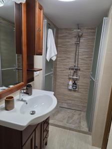 un baño con lavabo y ducha en Cabana Burebista, en Costeşti 53 fotos más