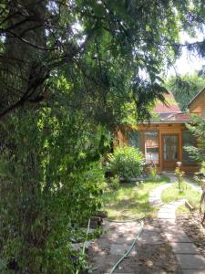 a yard with a house with a hose at Katies Tiny House in Budapest +34 photos