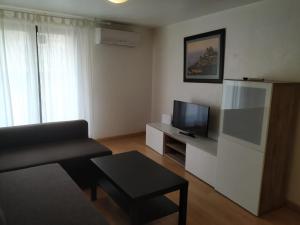a living room with a couch and a television at Apartamentos Turísticos Río Gallego (Apartamento Huesca) in Huesca