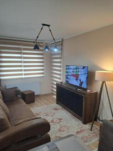 バニャ・コヴィリャチャにあるApartman Banja Koviljaca Iのソファと薄型テレビのあるリビングルーム