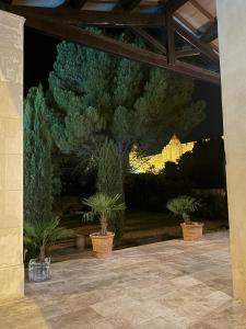 a group of potted plants sitting in a patio at Panorama by maison bacou in Carcassonne +35 photos