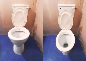 チダンバラムにあるHotel Rajarajanの浴室トイレ二枚